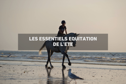 Les essentiels équitation de l'été